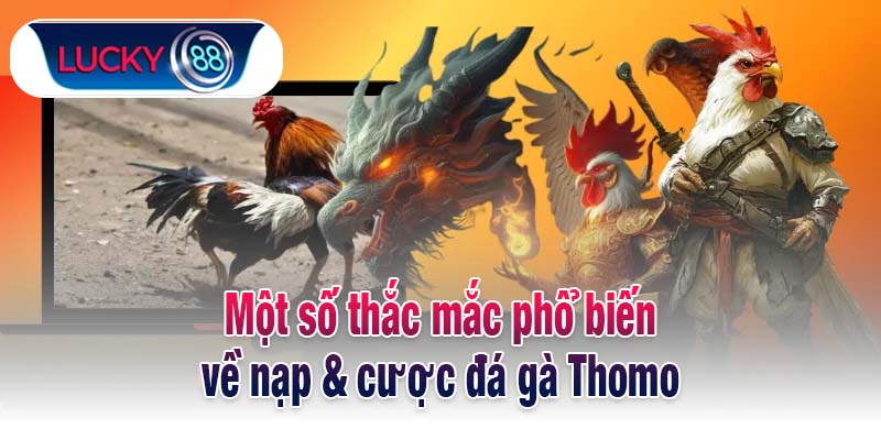 Một số thắc mắc phổ biến về nạp & cược đá gà Thomo